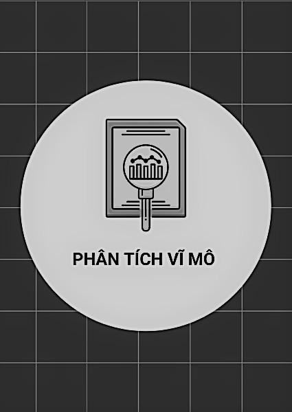 Phạm Thị Minh Hòa