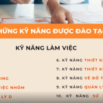 Chương trình đào tạo kỹ năng làm việc