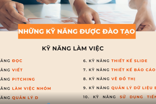 Chương trình đào tạo kỹ năng làm việc