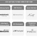 Sự thay đổi trong xu hướng đầu tư của các quỹ đầu tư mạo hiểm
