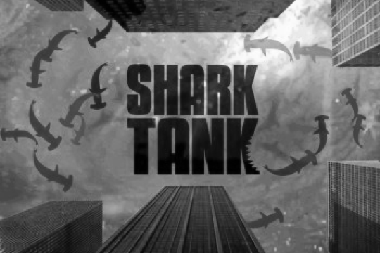 Đừng vội chỉ trích các Shark