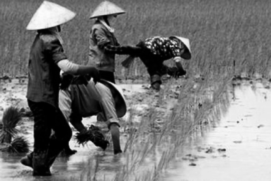 Mô hình kinh tế của các quốc gia Đông Nam Á (P.4): Những người nắm giữ đất đai
