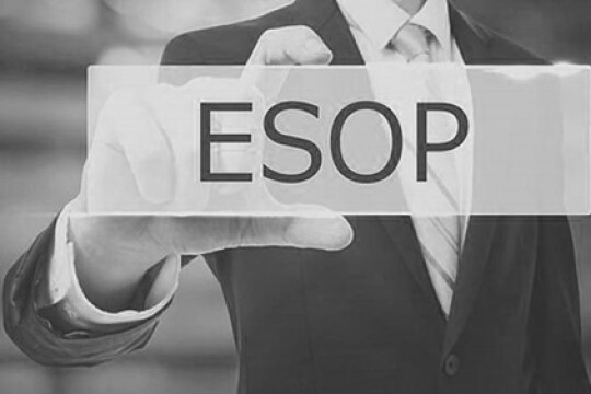 Thực trạng hoạt động phát hành ESOP ở Việt Nam