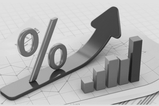 Ngành tiêu biểu năm 2021: Câu chuyện lợi nhuận của ngành ngân hàng