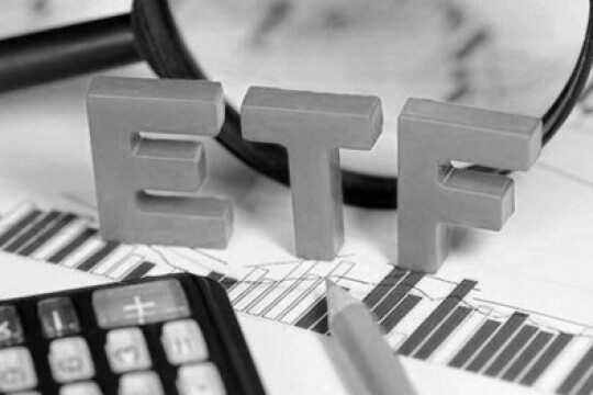 Xu hướng đầu tư quỹ chỉ số - ETF (P.3): Xu hướng của các quỹ đầu tư chỉ số ở Việt Nam – Quỹ ETF Nội